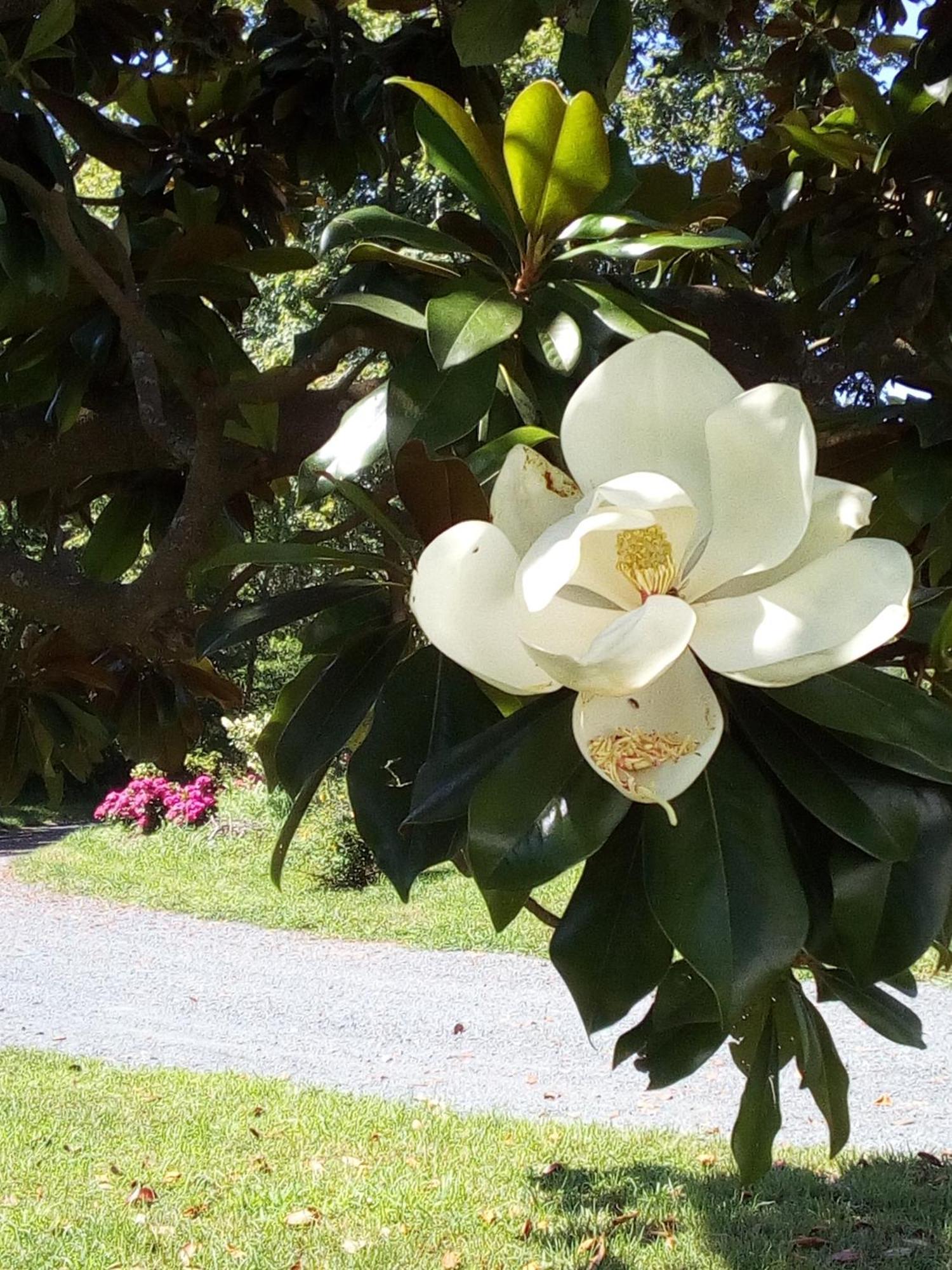 Domaine Abartiague Acomodação com café da manhã Ossès Quarto foto